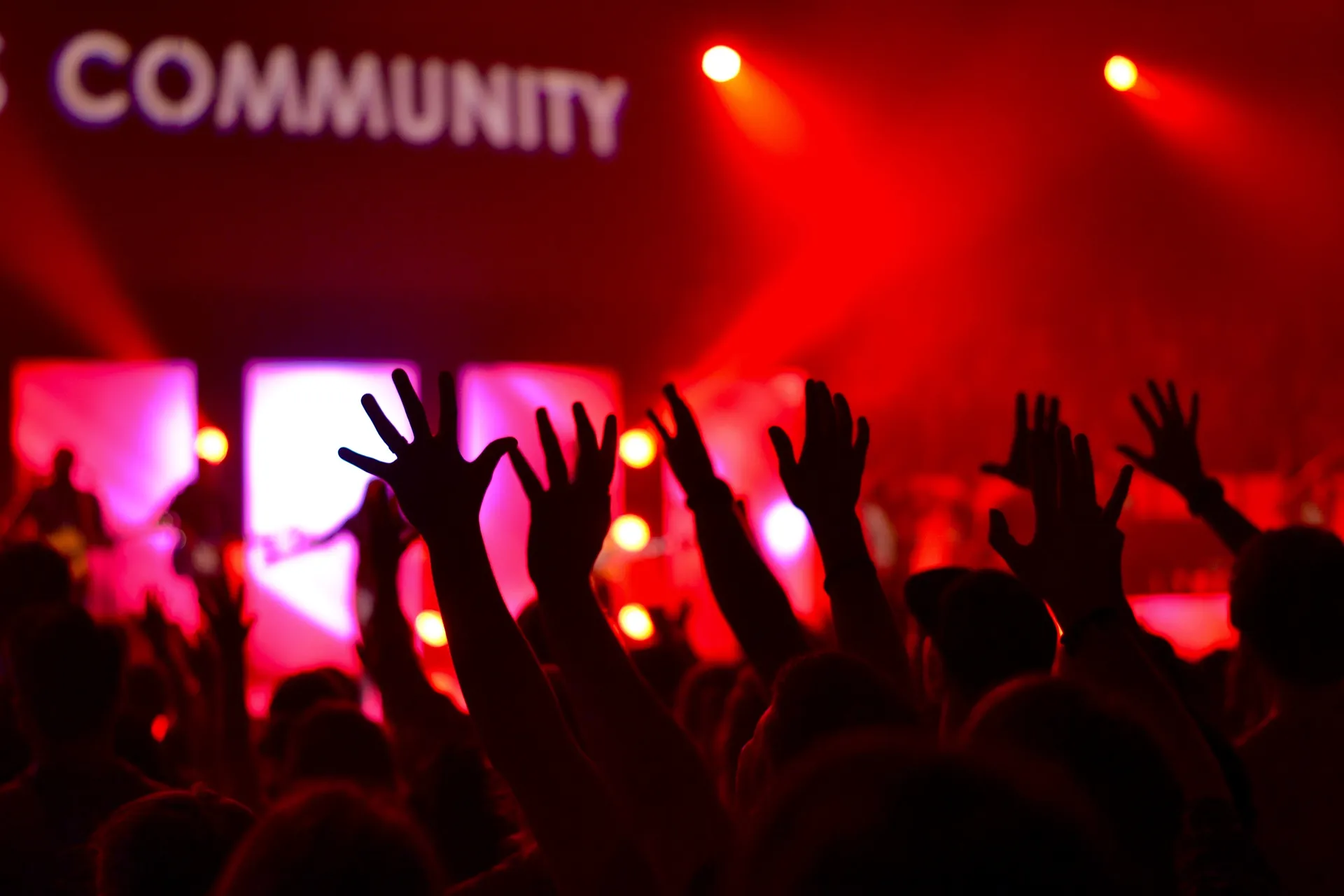 Sopravvivere e prosperare in un'industria musicale altamente competitiva